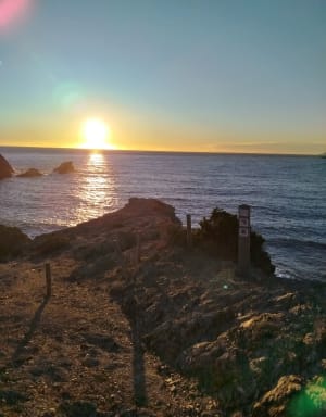 Presqu'île de Giens et périple entre voiles marines et goélands - Hyères - 11