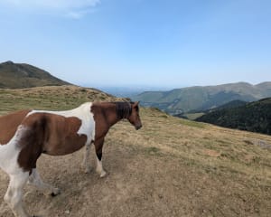Les crêtes du Hautacam - Beaucens - 7