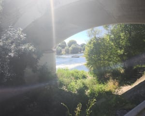 Balade entre les terres royales et bords de Loire - Amboise - 10