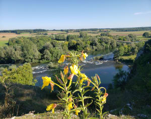 Bas et haut des roches - Rochefort-sur-Nenon - 8