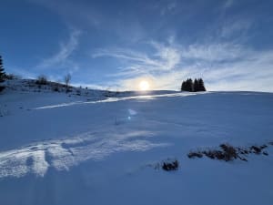 Sneeuwschoenwandeling van Croix-d'Agy naar chalet Les Sommards - Saint-Sigismond, Cluses - 6