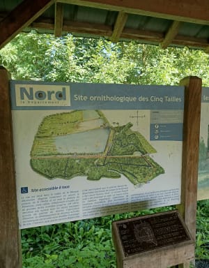 Bois des Cinq Tailles - Fabrice - 46