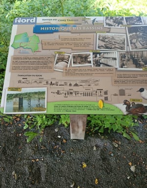 Bois des Cinq Tailles - Fabrice - 47