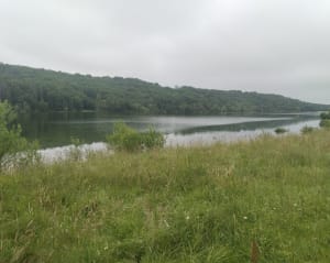 Tour du lac de Savères - Savères - 4
