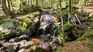 Goutte des Saules-watervalcircuit - Plancher-les-Mines - 28