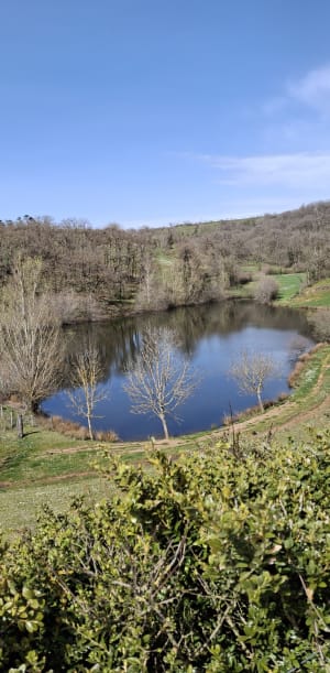 Inières, son église fortifiée et sa nature verdoyante - Sainte-Radegonde - 8