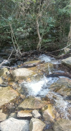 Dans la vallée de la Femme Morte et la forêt des Maures - Bormes-les-Mimosas - 4