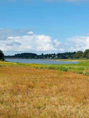 Randonnée autour du lac de Bouzey - Sanchey - 2