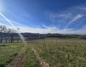 Fontaines de Moncaup et sortie cool dans le Vic-Bilh - Angélique - 9