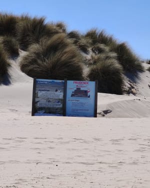 De Bray-Dunes à La Panne par plage et dunes - Sylvie - 10