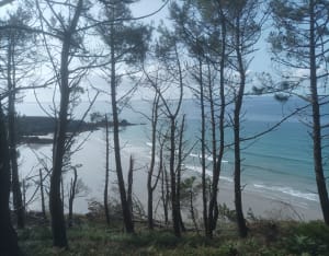 Boucle autour de Telgruc-sur-Mer - Telgruc-sur-Mer - 27