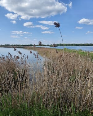 Łowisko Rajsko - Harmęże - 4