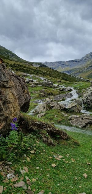 Instant fraîcheur au lac de Badet et balade en montagne - Aragnouet - 19