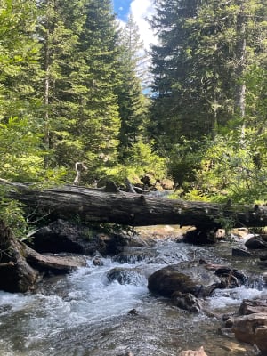 Boucle à Avoriaz - Morzine - 8