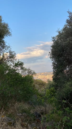 Plein des mirettes depuis les hauteurs de Villefranche - Villefranche-sur-Mer - 7