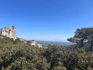 Les Deux Trous - Saint-Rémy-de-Provence - 10