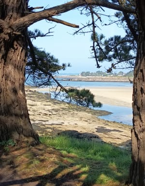 Pouldohan, de l'Anse du Moulin à Mer - Trégunc - 9