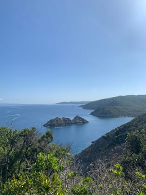 Tour de l'île de Port-Cros et découverte de sa flore - Hyères - 11