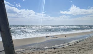 Napoleon Beach en They de la Gracieuse - Port-Saint-Louis-du-Rhône - 8