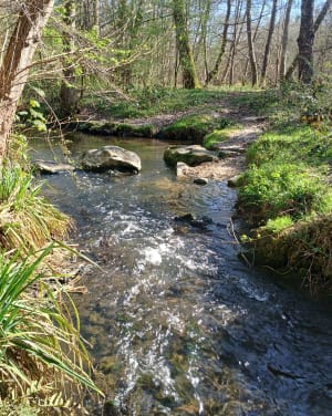 Les vaux de Cernay - Delphine - 22