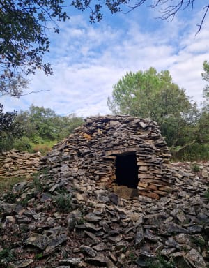 Calvisson arboretum manade et les 3 moulins - Calvisson - 3