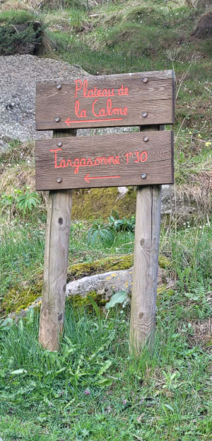 Randonnée paisible au pied du Roc de la Calma - Font-Romeu-Odeillo-Via - 14