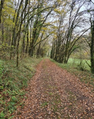 St-Pantaly-d’Ans - Cubjac-Auvézère-Val d'Ans - 4