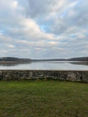 Virée forestière et observation discrète au bord des étangs - Les-Essarts-le-Roi - 3