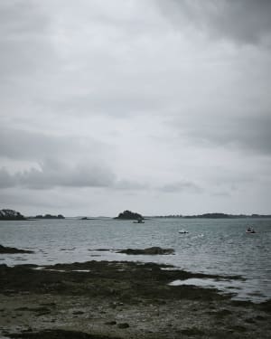 Promenade autour d'Arradon. - Arradon - 6