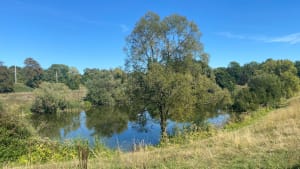 Balade au bois de Grâce et ses étangs - Champs-sur-Marne - 2