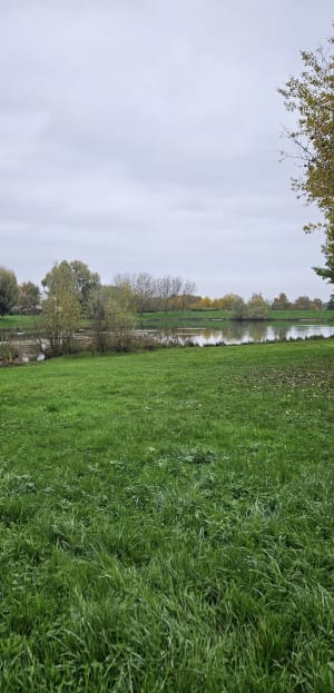 Autour du golf de Caen - Hérouville-Saint-Clair - 7