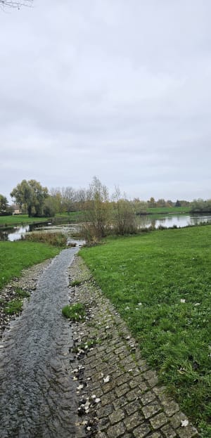 Autour du golf de Caen - Hérouville-Saint-Clair - 8