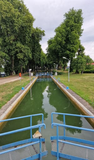 De grote lus van Saint-Dizier - Saint-Dizier - 9