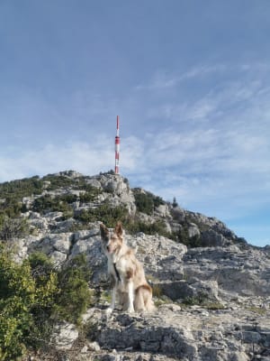 Boucle du mont Saint-Baudille et panorama méditerranéen - Montpeyroux - 45
