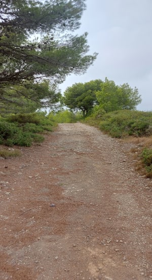 Boucle de la Rouquette - Narbonne - 13