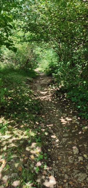 Etre saisi par les gorges de la Saine et de la Langouette - Les Planches-en-Montagne - 51