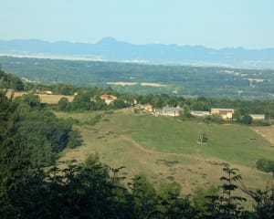 Entre fraîcheur des forêts et lumière des plaines à Thiers - Myra - 4