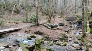 Boucle des Dioux et joli balai des parapentes - Saint-Hilaire du Touvet - 6