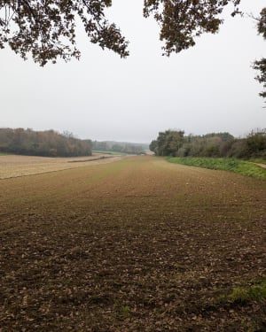 Le cœur du golf boisé - L'Isle-d'Abeau - 2