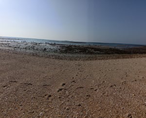 Locmariaquer sur le GR® 34 et le long du golfe du Morbihan - Locmariaquer - 15