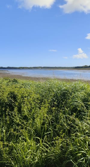 Lanester, entre terre et mer depuis Pen Mané - Lanester - 2