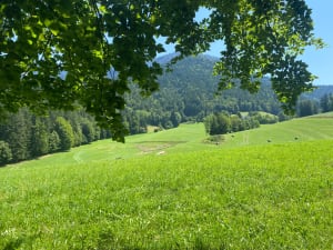 Langs de kloven van Bruyant vanuit Lans-en-Vercors - Lans-en-Vercors - 25