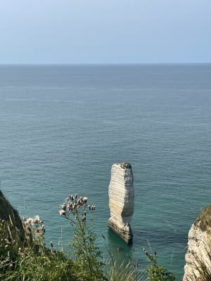 Wandeltocht langs de kust en de Aiguille de Belval - Bénouville - 17