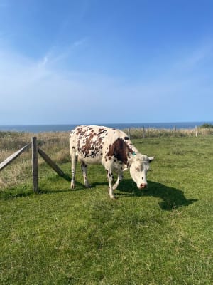 Wandeltocht langs de kust en de Aiguille de Belval - Bénouville - 18