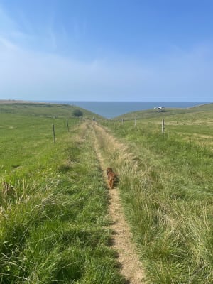 Wandeltocht langs de kust en de Aiguille de Belval - Bénouville - 19