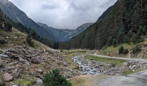 Vers l'hospice du Rioumajou - Saint-Lary-Soulan - 19
