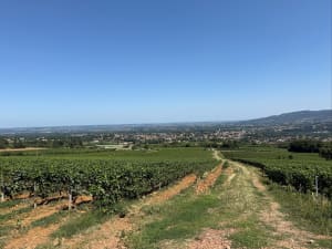 Promenade sympa à Saint-Jean-des-Vignes - Saint-Jean-des-Vignes - 7