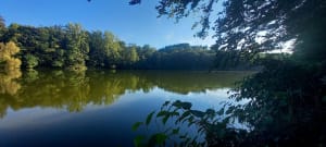 Tour des étangs de la forêt de Versailles et rencontres discrètes - Gwenaelle - 3