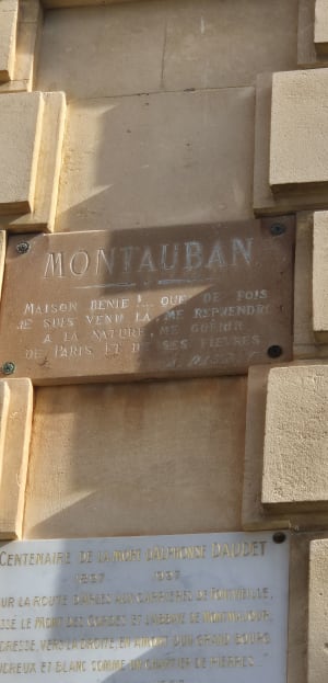 Wandelpad en boswandeling langs de molens van Fontvieille - Fontvieille - 13