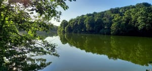 Tour des étangs de la forêt de Versailles et rencontres discrètes - Gwenaelle - 5